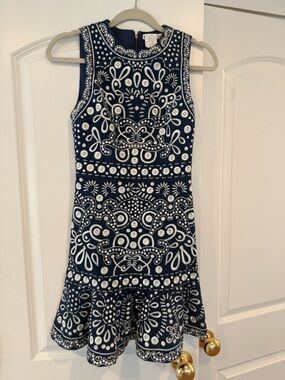 Alice + Olivia Navy and White Embroidered Fit-and-Flare Dress